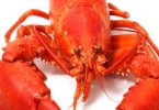 波士顿龙虾——减少胆固醇保护心脏