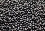 黑豆瘦肉粥——调理肠胃润肤美容