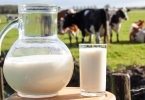 长期喝牛奶有副作用吗