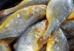 冰冻小黄鱼怎么做更好吃?