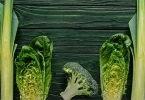 痛风可以吃什么肉类和蔬菜