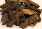 肉苁蓉能增加硬度吗