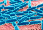 H7N9传播途径有哪些