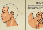 春季运动养生的原则是什么呢