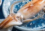 海灵菇是鱿鱼的吸盘吗