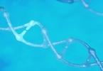 泄殖腔外翻属于染色体异常吗?