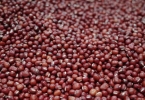 红豆薏米越喝湿气越重是为什么
