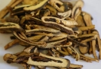 炒枳壳的功效与作用、禁忌和食用方法