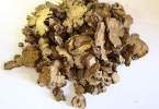 川芎嗪的功效与作用及禁忌
