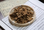 苍术的5大功效与作用，提醒：这3类人不宜吃苍术
