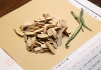 黄芪对早些泄能治好吗？调理作用可能有一定帮助