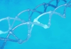 同源染色体存在相同基因吗