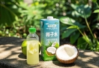 椰树牌椰汁喝了有什么好处