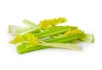 芹菜的功效与作用 餐桌上的“降压高手”