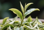 白色桌子染茶渍擦不掉怎么办