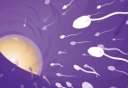 吃精液会怀孕吗 科学解读与生殖健康误区解析