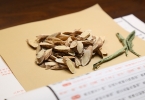 黄芪改善男性夜尿多吗（肾虚型频尿调理建议）