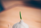 大蒜对痛风有用吗（男性持久受益怎么样？）