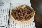 夏枯草：伤肾还是保肾？