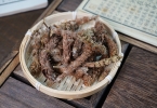 甲状腺结节的中成药治疗指南
