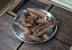 揭秘夏枯草：抗癌之王的传奇魅力
