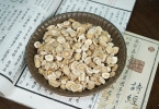 夏桑菊和板蓝根 哪个去火效果更优