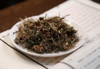 婆婆丁的功效与禁忌