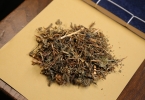 蒲公英：妇科炎症的天然克星