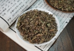 三种人不宜吃车前草 食用需谨慎