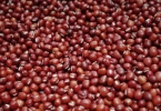 怎样煮薏米红豆容易烂