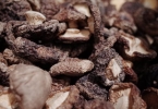香菇发了一点点霉还可以吃吗