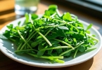 哪些人不宜食用野菜
