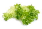碳水的食物有哪些，如何根据运动量调整碳水摄入？