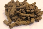 巴戟天配什么变硬变粗