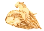 侧柏叶的功效作用与主治（凉血止血柏树叶子这样外用有效）