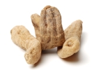 天麻适合小孩吃吗（儿童食用指南）