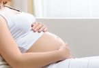 家里有孕妇可以养什么绿色植物