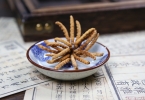 冬虫夏草泡酒可以存放多久（保存时间及方法）