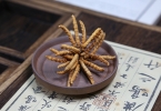 冬虫夏草泡酒后还能吃吗（再利用价值及方法）