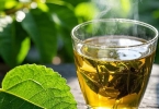 吃杨梅能喝茶水吗