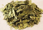 番泻叶能天天泡水喝吗