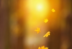 重阳节是什么星座 对应星座查询