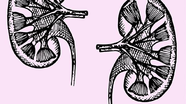 血栓掉入肺严重吗