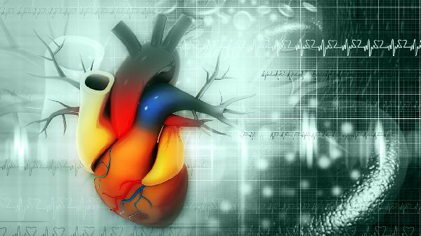 背部有心脏一样的跳动