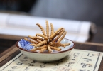 冬虫夏草可以和蜂蜜一起泡酒吗（配伍效果）