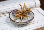 冬虫夏草可以和麦芽一起泡酒吗（配伍效果）