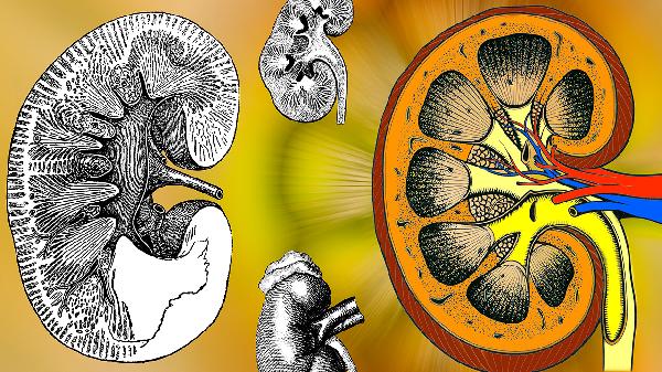 肾脏好不好，身体有3个征兆