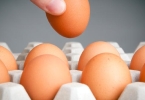 健身人早上吃几个鸡蛋