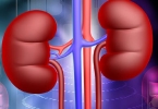 肾功能不全会危及生命吗