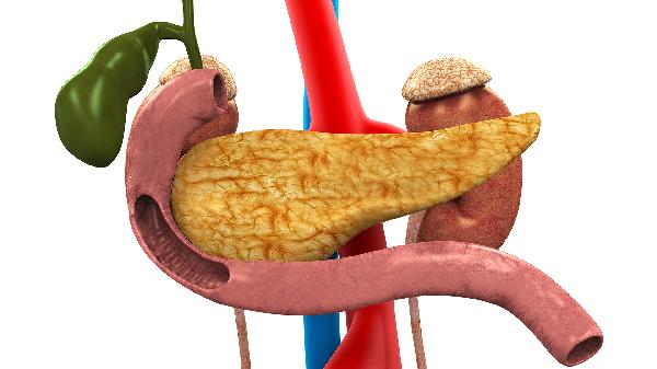 总胆固醇正常甘油三酯高的原因是什么